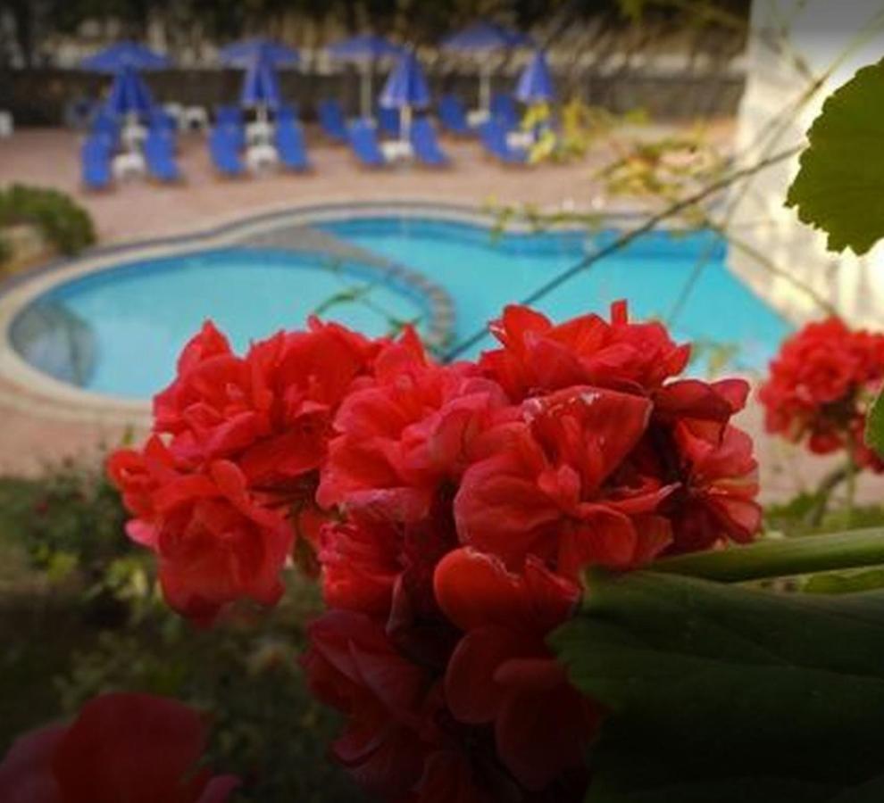 Lili Apartments,Oasis 2,5 Km From Hania Center Parigoria Eksteriør billede